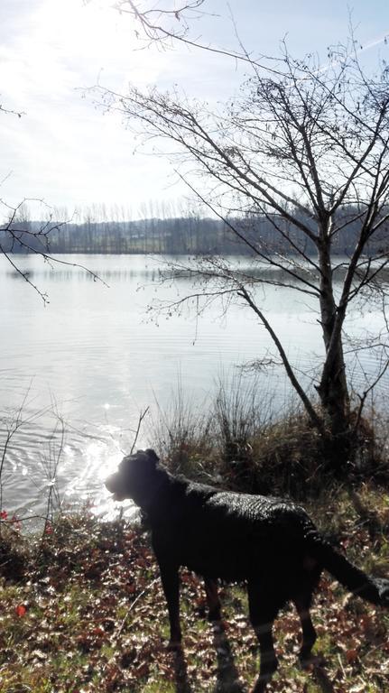 Gite Au Lac Du Gouyre Puygaillard-de-Quercy Экстерьер фото
