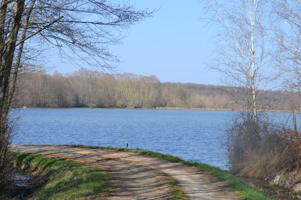 Gite Au Lac Du Gouyre Puygaillard-de-Quercy Экстерьер фото